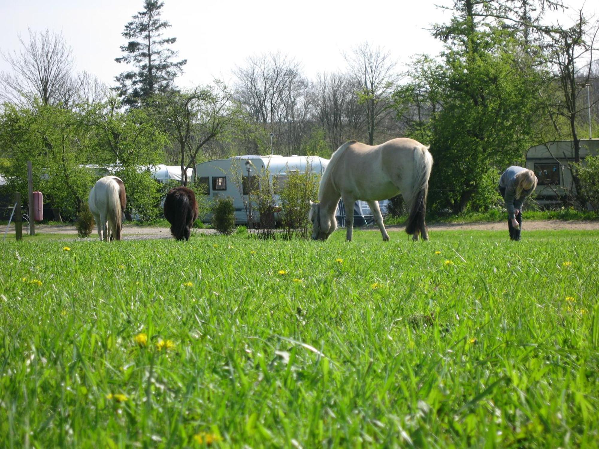 Boeslunde Camping Exterior photo